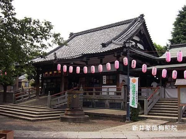 周辺環境(新井薬師梅照院 934m)