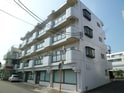 コスモ秋川