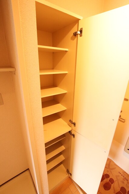 物件内観写真9　(シューズボックス☆彡)