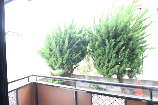 物件内観写真10　(バルコニーからの景色です♪)