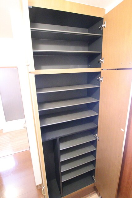 物件内観写真9　(シューズボックスです)