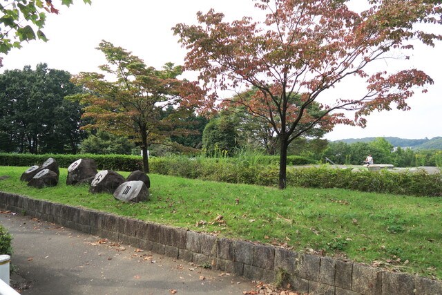 富士見台公園