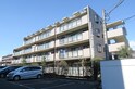 ヴューテラス松の木