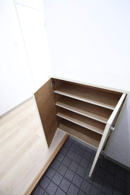 物件内観写真10　(シューズボックスです)