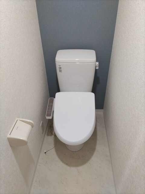 物件内観写真14　(トイレです)