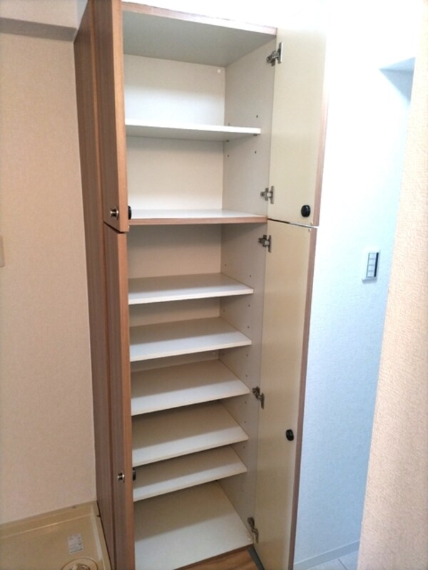 玄関(シューズボックスです)