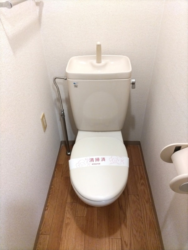 トイレ(トイレです)