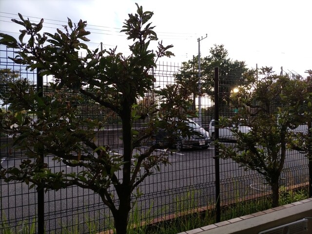 物件内観写真22　(お部屋からの景色です)