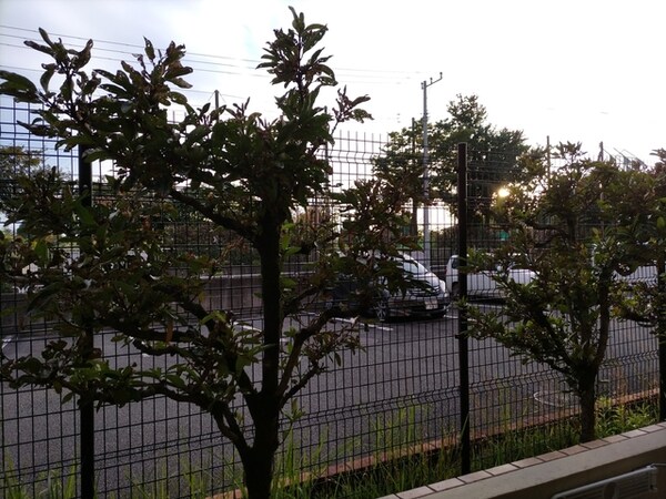 景色(お部屋からの景色です)