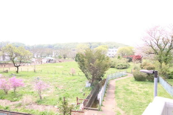 景色(バルコニーからの景色)