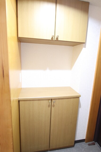 物件内観写真9　(シューズボックス)