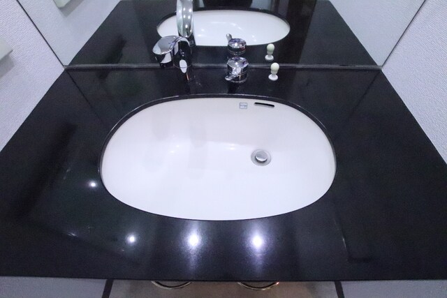 物件内観写真12　(洗面台☆彡)