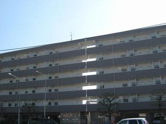デュアルカーサ横町