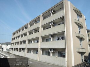 プチメゾン丸山外観写真