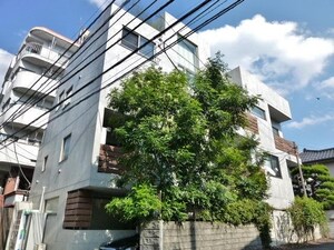 ALFRESCO吉祥寺外観写真
