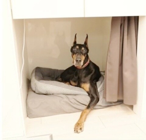 物件内観写真18　