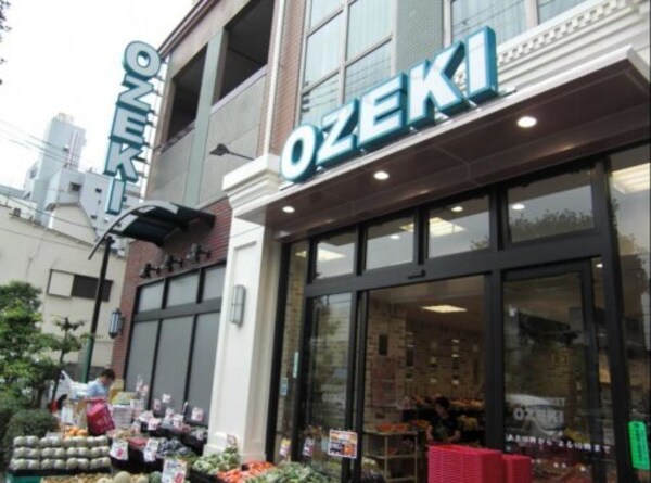 周辺環境(オオゼキ野沢店 894m)