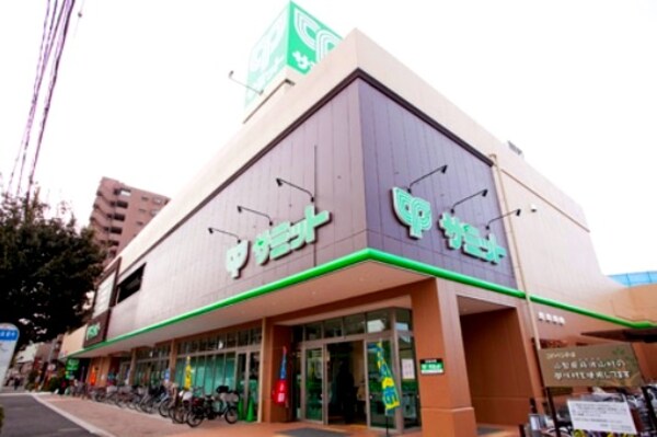 周辺環境(サミットストア 下馬店 359m)