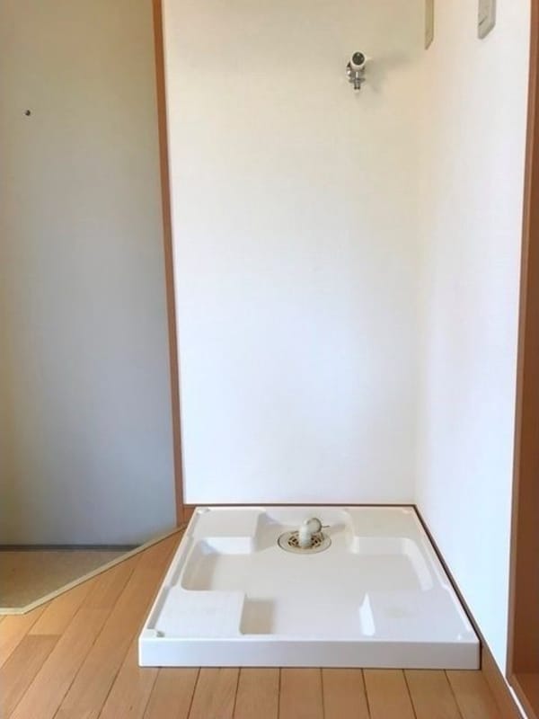 内装他