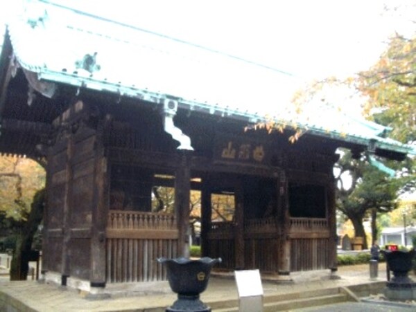 周辺環境(林試の森公園 1166m)