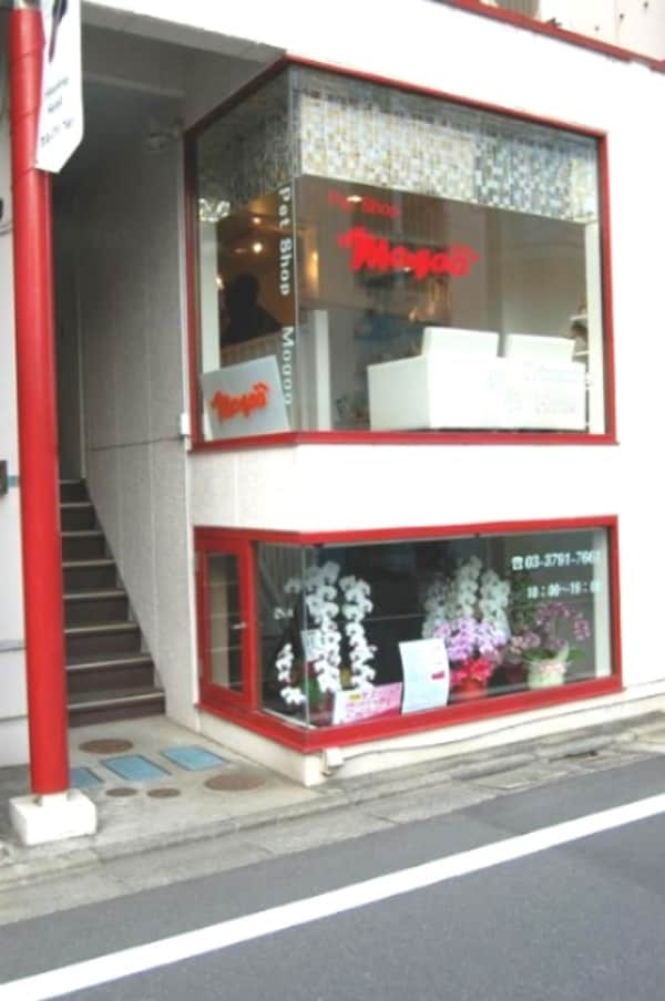 周辺環境(NANA・STYLE 1102m)