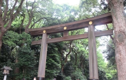 物件内観写真16　(明治神宮 1679m)