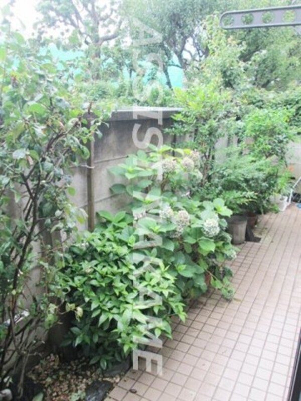 庭