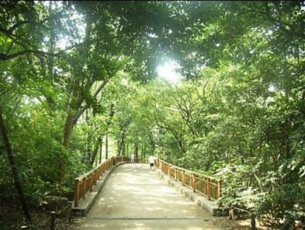 周辺環境(林試の森公園 1226m)
