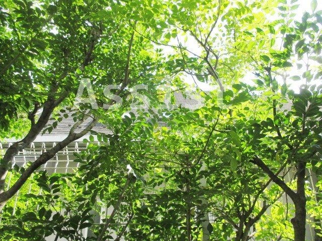 物件内観写真28　