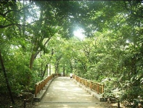 周辺環境(林試の森公園 2262m)