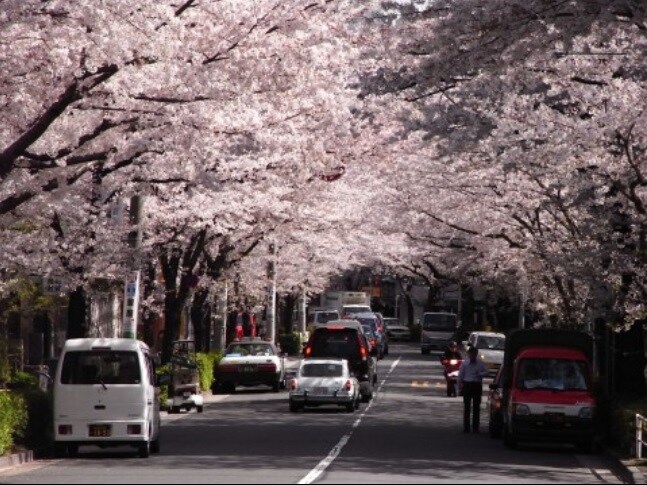 物件内観写真31　(NEW不動前駅 1083m)