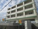 青いアイリス上江洲