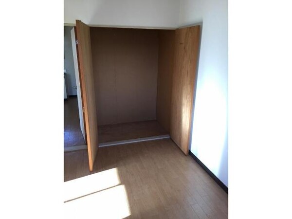 収納(洋室収納)