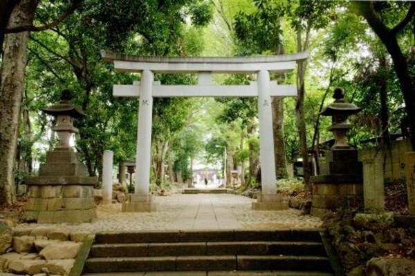 周辺環境(代々木八幡宮 703m)