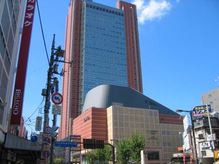 物件内観写真19　(キャロットタワー 2165m)