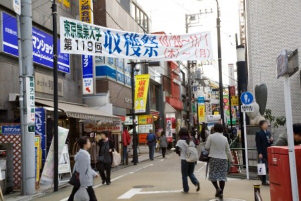 周辺環境(農大通り商店街 3514m)