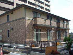 ウィルモア深津（Ｄ）