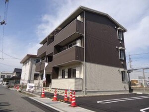 サフラン（D)外観写真