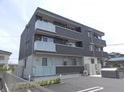シュシュ（D)