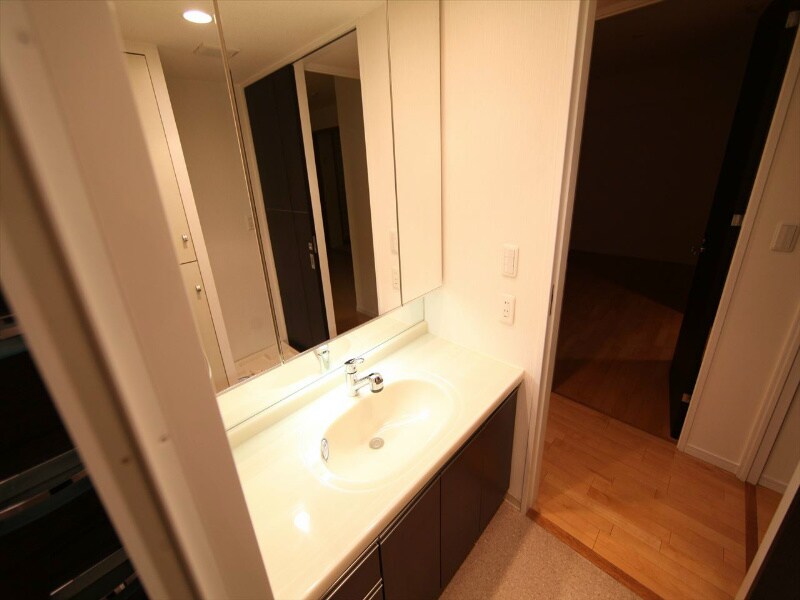 物件内観写真33　(脱衣所　独立洗面台（シャンプードレッサー）)
