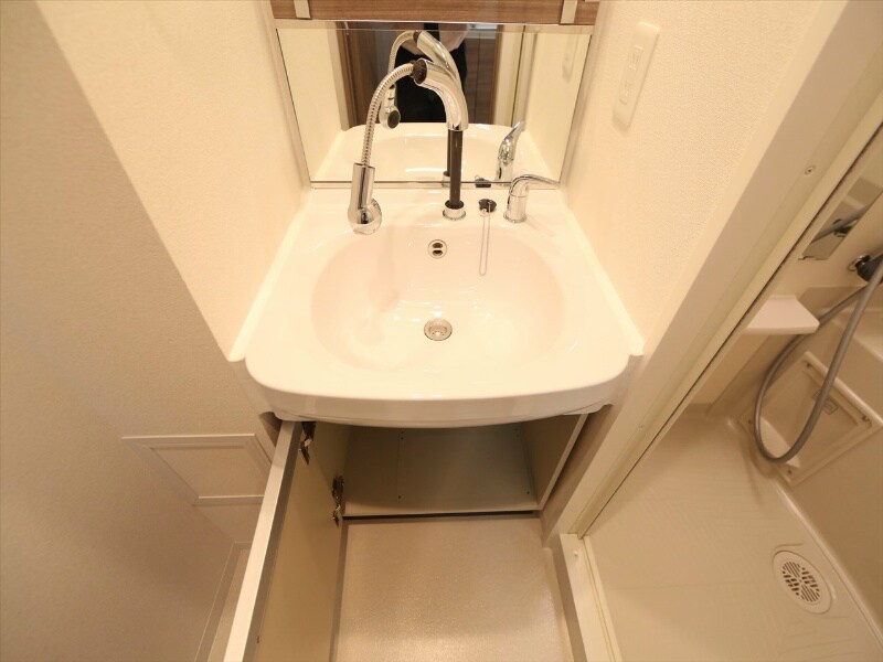 物件内観写真17　(脱衣所　独立洗面台（シャンプードレッサー）)
