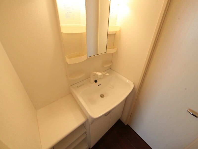 物件内観写真3　(脱衣所　独立洗面台付（シャンプードレッサー付）)