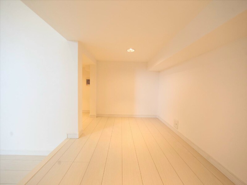 物件内観写真17　(アンダーロフト4.49帖（収納にも寝室にも使えます）)