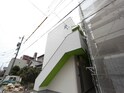 クローバー
