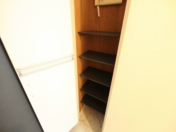 その他設備(玄関（シューズボックス充実しています）)