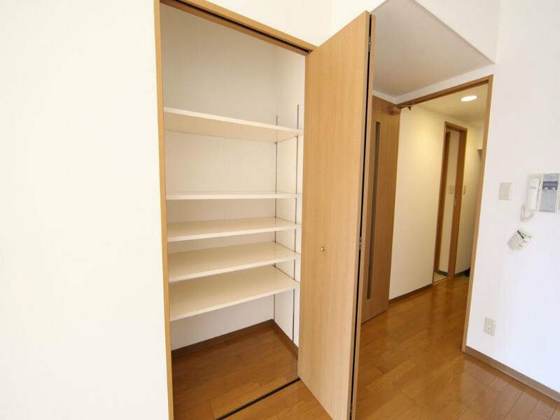 物件内観写真9　(ＬＤＫにある収納棚)