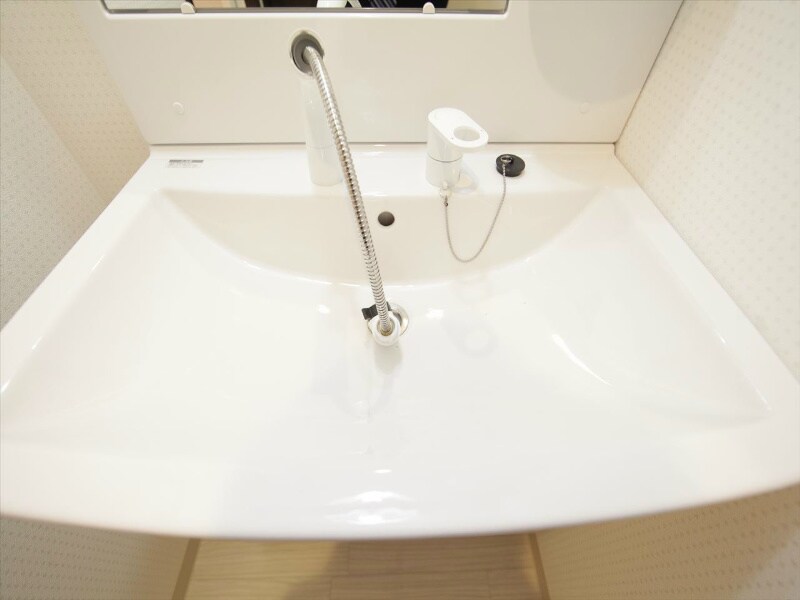 物件内観写真29　(独立洗面台（シャンプードレッサー付）)