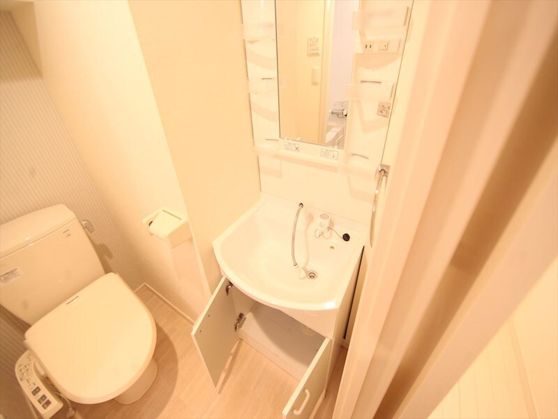 物件内観写真29　(脱衣所　独立洗面台（シャンプードレッサー付）収納スペース有)