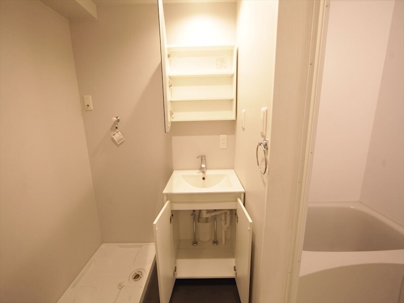 物件内観写真23　(脱衣所　独立洗面台（シャンプードレッサー付）　イメージ写真)
