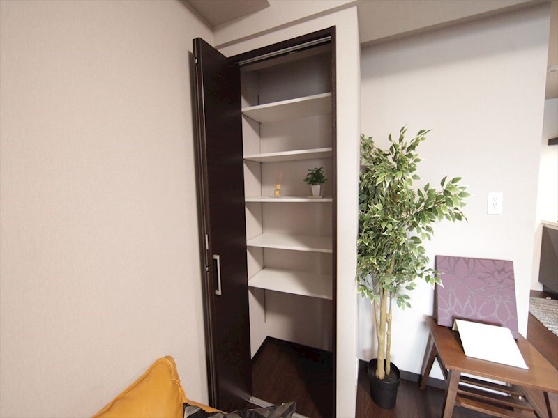 物件内観写真21　(リビングにある収納（収納充実してます）)